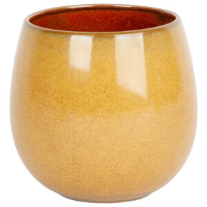 PROOF,  ELEMENTS MUSTARD BEKER